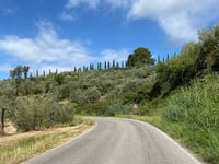 Passo di Monte Vitalba von San Martino