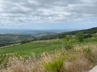Passo di Monte Vitalba von San Martino