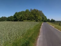 Gansenberg von Hünxe