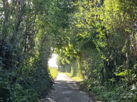 Ganzenberg