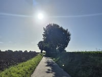 Ganzenberg