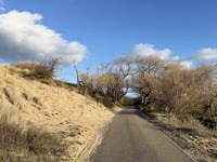Ganzenhoek desde Meijendel