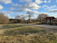 Ganzenhoek desde Meijendel