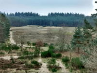 Garderenseweg von Uddel