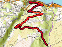 Gäsi z Mühlehorn