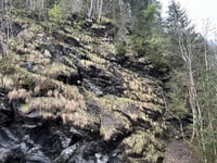 Gattererberg