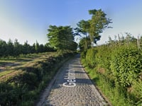 Gebrandhofstraat da Rijnrode