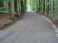 Geertjesweg vanuit Renkum
