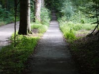 Geertjesweg from Wageningen
