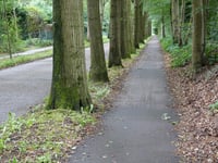 Geertjesweg from Wageningen
