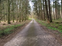Geisberg von Schoden über In der Curf