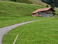 Geissbodenstrasse da Reichenbach