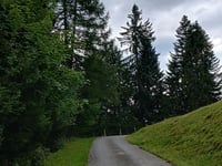 Geissbodenstrasse da Reichenbach