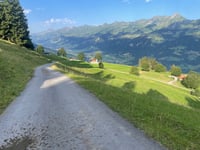 Geissbodenstrasse from Reichenbach