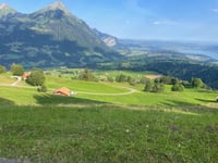 Geissbodenstrasse da Reichenbach