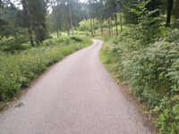 Geldenberg z Frasselt