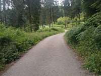 Geldenberg z Frasselt