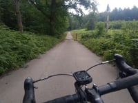 Geldenberg z Frasselt