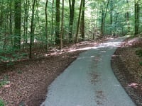 Geldenberg z Frasselt