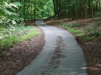 Geldenberg z Frasselt