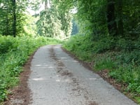 Geldenberg z Frasselt