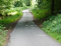 Geldenberg z Frasselt
