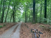 Geldenberg von Frasselt