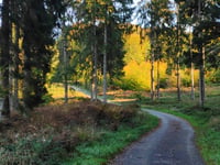 Geldenberg z Frasselt