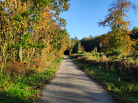 Geldenberg z Frasselt