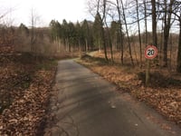 Geldenberg z Frasselt