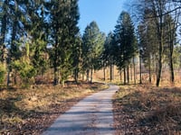 Geldenberg from Frasselt