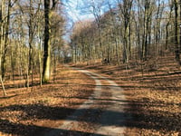 Geldenberg z Frasselt