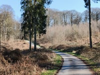 Geldenberg z Frasselt