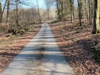Geldenberg z Frasselt