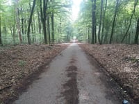 Geldenberg from Kleve