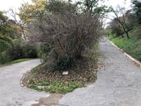 Gellért-hegy / Citadella über Szabó Dezső sétány