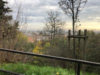 Gellért-hegy / Citadella über Szabó Dezső sétány