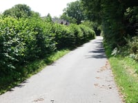 Gemmenicher Weg von Aachen