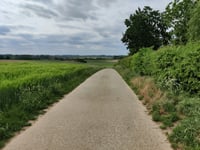 Genoelselderen z Ketsingen