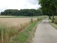 Genoelselderen z Ketsingen