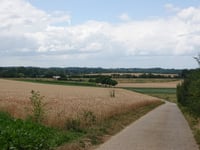 Genoelselderen z Ketsingen
