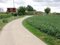 Genoelselderen z Ketsingen