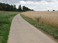 Genoelselderen z Ketsingen