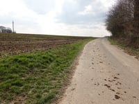 Georgsweg über Wardener Strasse