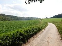 Gerendal desde Schin op Geul