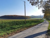 Gerleve Lürwer