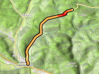 Geschriebene Buche da Klausen-Leopoldsdorf