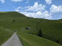 Gestelenpass / Meiebergalp da Grubenwald