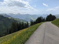 Gestelenpass / Meiebergalp from Grubenwald