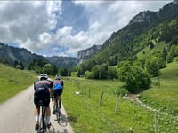 Gestelenpass / Meiebergalp von Oey